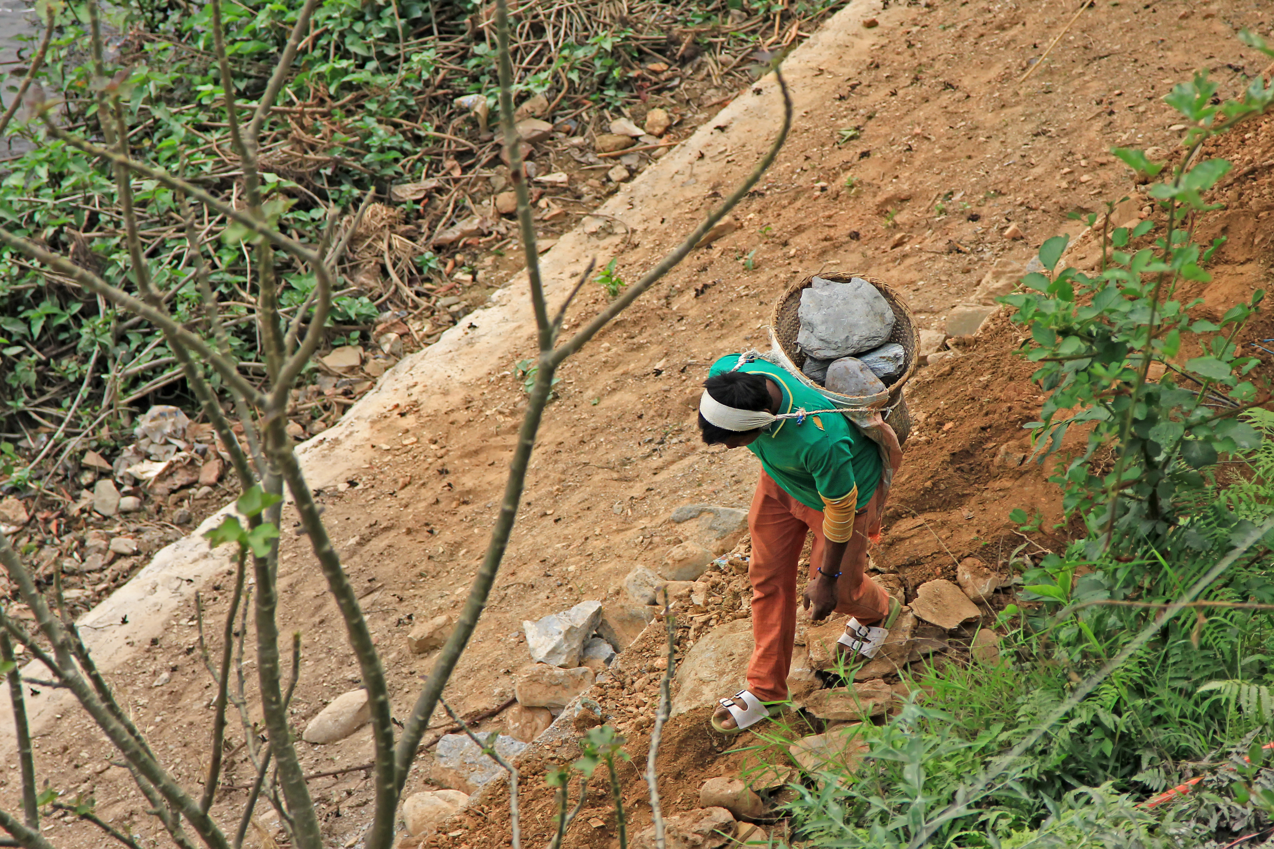 Kinder beim arbeiten auf dem Feld